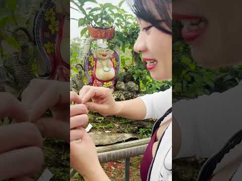 Anh Hàng Xóm sang hỏi thăm