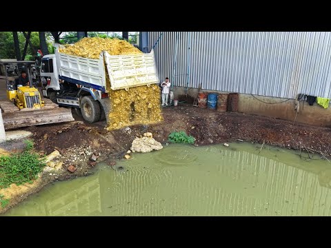 First Started A New Project!Dump Truck Fillland Delete Pond,Skill Dozer D20P Pushing Soil Perfectly