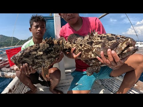 Naglalakihang Grouper Ang Nahuhuli Namin