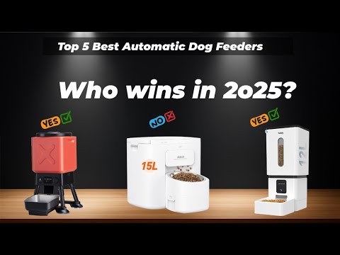 ✅Top 5 best automatic dog feeders [Watch This Before You Make a Choice!]