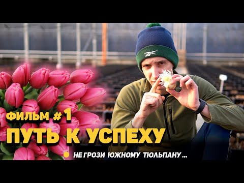 Не грози южному тюльпану... фильм #1