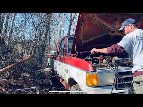 First Start of 1989 F250 7.3L IDI in 6 Years!!