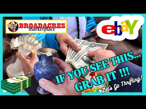 I FILLED the CART and TURNED $200 into $1K / THRIFT WITH ME at Broadacres FLEA MARKET / SHOP my HAUL