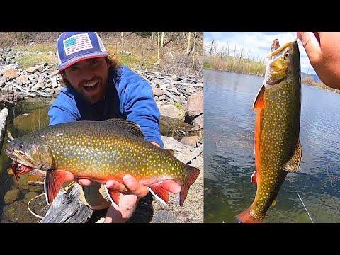 Jigging for FAT Brook Trout at Mountain Lakes!!