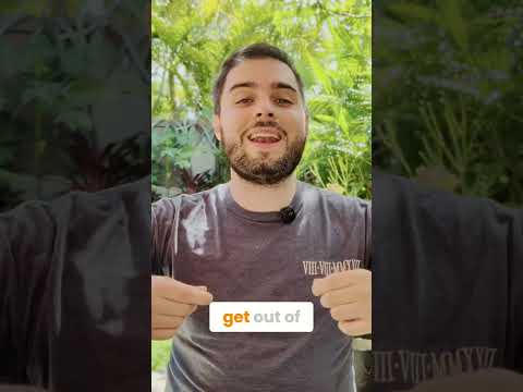 Grow Your Business: Stop Being 'Fluffy,' Sell Results! #shorts