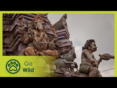 Sri Lanka – Land of Elephants - Great Places of the World 5/6