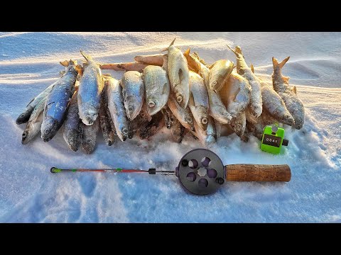 ВЕСЕННЯЯ РАЗДАЧА РИПУСА! Ловля рипуса на Увильдах. Рыбалка 2022