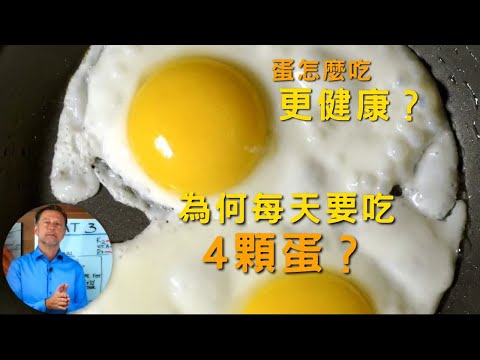 每天吃 3 ~ 4 個蛋會如何？柏格醫生Dr Berg