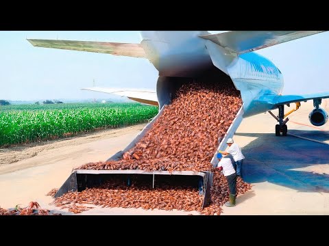 Китай Переселил Миллионы Раков из Реки на Поле и Оставил на Полгода, Результат Был Безумным