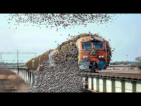 БЕГИТЕ, Если Увидите ЭТО! Случаи в Природе Один на МИЛЛИОН