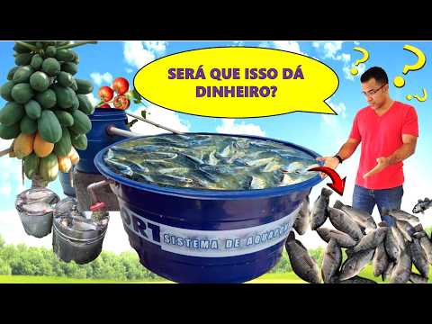 🐟TILAPIA FARMER: TOP 10 QUESTIONS ANSWERED