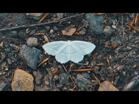 You're in a Creative Ecosystem