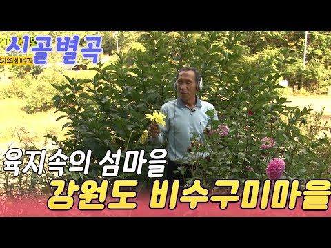 오지마을의 여름편지 / 육지속의 섬마을 강원도 비수구미 마을사람들 ㅣ  2TV 생생정보 [세상실험] KBS 20150922