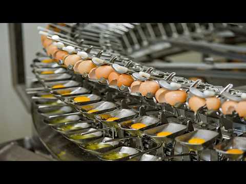 Most Amazing and Satisfying Machines in Action