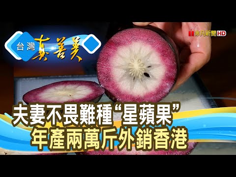 不畏艱難的甜蜜“星蘋果”｜巨鑽果園｜【台灣真善美】2024.05.05