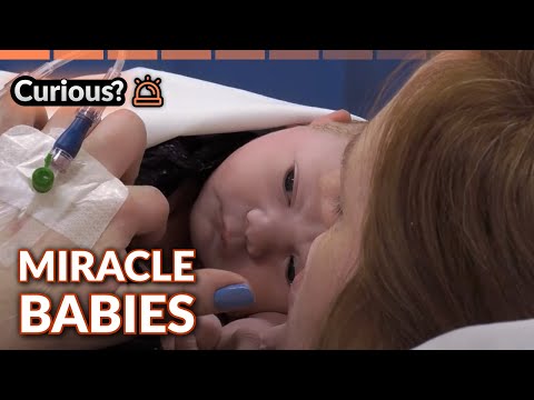 Crisis and Hope in the Maternity Unit | 24 Hour Baby Hospital