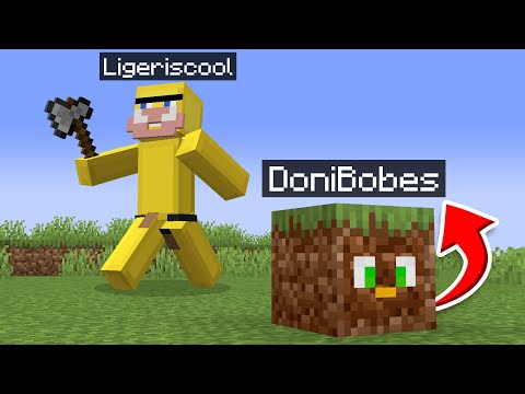 Secretly Hiding as Blocks in My Friends World