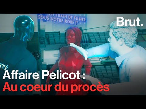 Retour sur le procès Pelicot, une affaire historique.