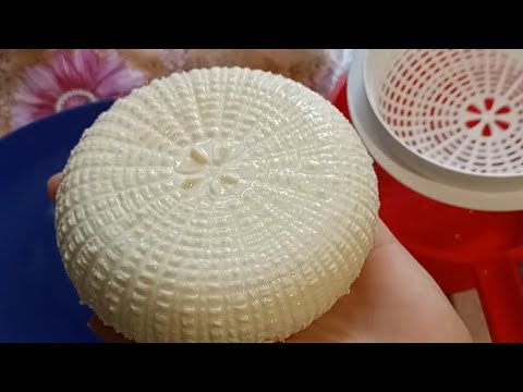 Адыгейский сыр🧀 на магазинном молоке! 