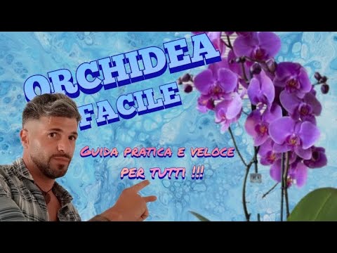 CURE ORCHIDEA.. è facile se sai come farlo. 5 consigli facili ( Phalaeonopsis)
