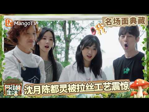 沈月陈都灵谢依霖三姐妹把拉蚕丝玩成了拔河 最后谁将获得自制蚕丝被使用权？ | 名场面回顾 |《向往的生活》Back To Field | MangoTV