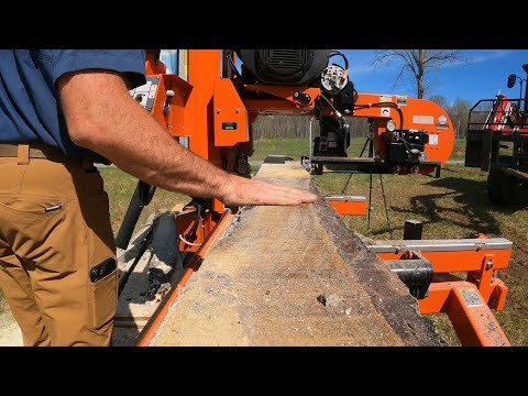 Sawmilling Rare Exotic Log! You'll never see this again in your life