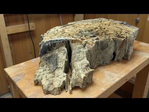 He Brought This Rare Log Home. You Won't Believe The Ending! 😱
