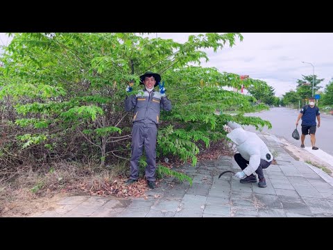 The neighbors and the city didn't clean the sidewalks for 7-8 years until we arrived.