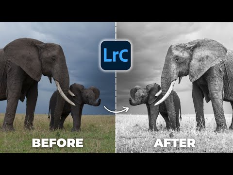 A Lightroom Trick I’ve Never Seen Shared Before