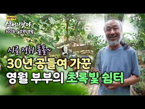 (강원 영월/302회) 시골 정취 풀풀~ 나의 낭만 놀이터 정원카페를 소개합니다 koreatv, garden, cafe, wood fired pizza