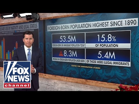Americans voted to ‘ENFORCE’ immigration laws: Will Cain