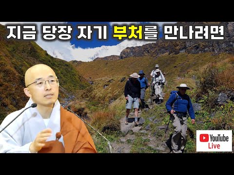 [돈오54] 지금 당장 자기 부처를 만나려면, 진정한 나는 무엇인가