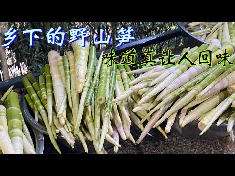 体验在家乡山里吃野果，采野笋，收获太多了，品尝地道乡村炒笋，满满家乡味......