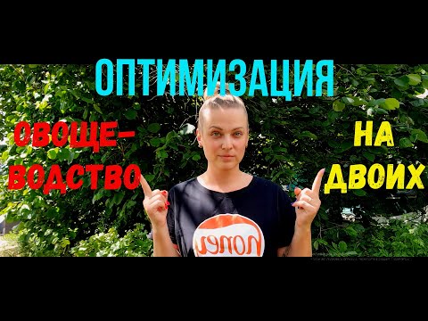 Как всё успевать в сельском хозяйстве? Оптимизация труда на земле. Потеря цыплят.