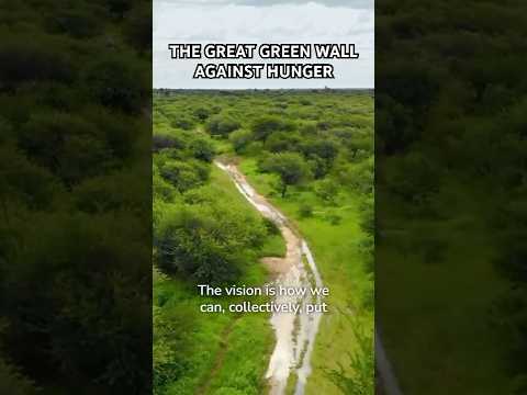 The Great Green Wall Against Hunger