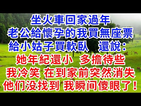 坐火車回家過年，老公給懷孕的我買無座票，給小姑子買軟臥，還說：她年紀小多擔待些，我冷笑，到家前直接消失，老公他們瞬間傻眼了！#家庭衝突#情感#婚姻#故事小說