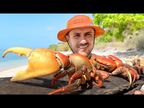 100 ЧАСОВ ВЫЖИВАНИЯ на Необитаемом Острове с Гигантскими Крабами — ФИЛЬМ 2