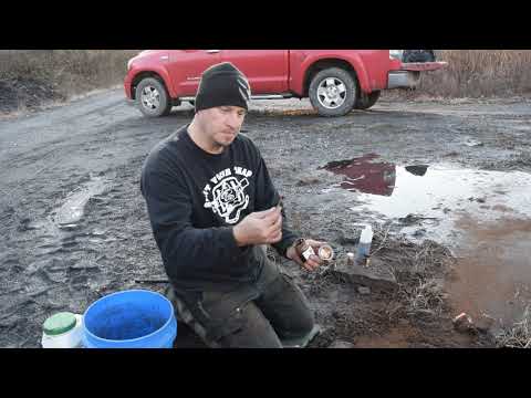 SIMPLE SET - Eight Coyotes - Same Location  - in Thirty Days!