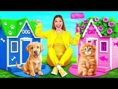 We Built a House For Pets