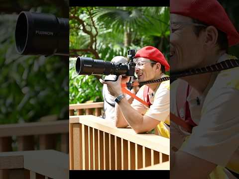 Medium Format BIRD PHOTOGRAPHY  🦅 🤨