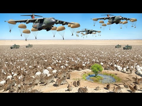 China Dumped 4 Million Rabbits In a Desert... 10 Years Later Scientists Are Speechless