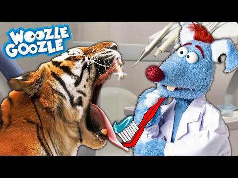 Warum kriegen Tiere kein Karies? l WOOZLE GOOZLE