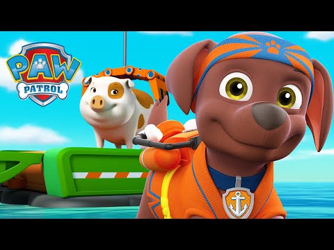 Zuma's Pig Rescue!🐷 - PAW Patrol - Cartoons for Kids