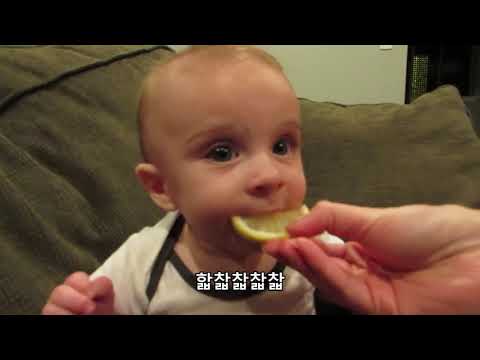 [구급상자#5] 아이들이 봐도 되는지 잘 모르겠는 '아이들의밈'