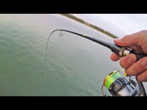 Судаки и Щуки ЗВЕРЕЮТ ОТ АРБУЗа! ПОКЛЁВКИ В РУКУ! Рыбалка на спиннинг Октябрь