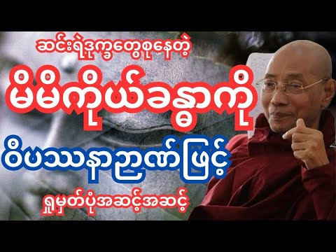 မိမိကိုယ်ခန္ဓာကို ဝိပဿနာဉာဏ်ဖြင့် ရှုမှတ်ပုံအဆင့်အဆင့် အနှစ်ချုပ်(ကာယနုပဿနာသတိပဌာန်)