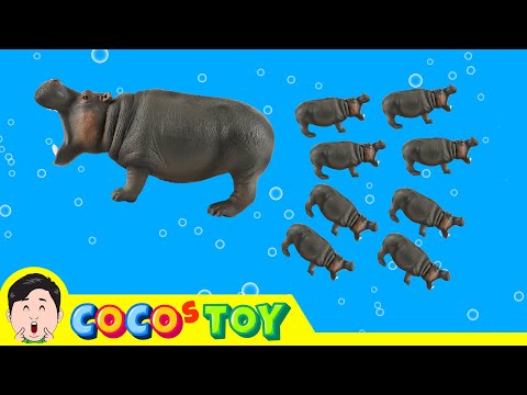 Hippo gave birth to baby hippo!ㅣAnimal names for children, Animals cartoonㅣCoCosToy