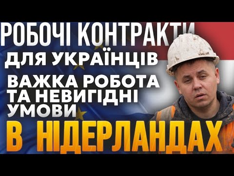 WORKING IN THE NETHERLANDS AND EMPLOYMENT CONTRACTS/ Which contract guarantees stability in the N...