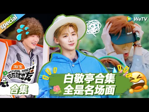 【现在就出发S3】白敬亭合集：小白不仅游戏水平进步了，做菜水平也进步了！ |《现在就出发S3》Natural High S3 #沈腾 #王安宇 #黄景瑜 #金晨#范丞丞#贾冰#胡先煦#白敬亭