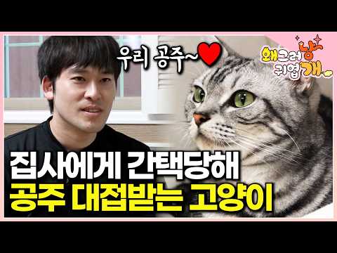 "A Serenade for the Princess~" A doting butler couple treat their adopted cat like a princess | #...